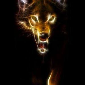 Meet your Posher, Morris